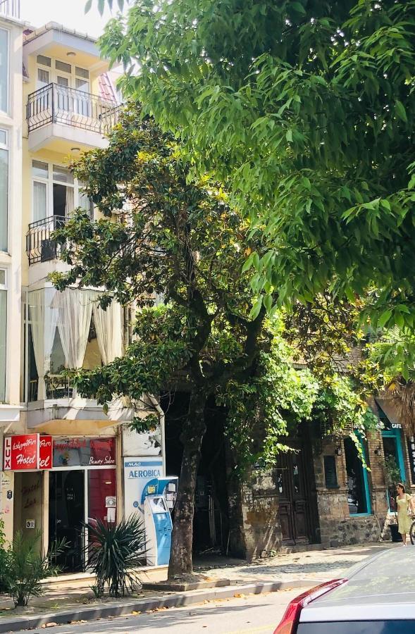 Hotel Dolphin באטומי מראה חיצוני תמונה